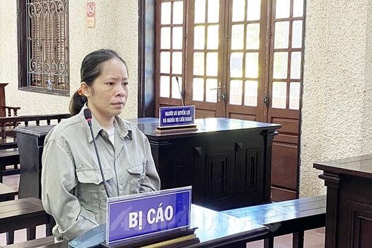 "Nữ quái" lừa hơn 700 triệu đồng  rồi "nướng" hết vào game
